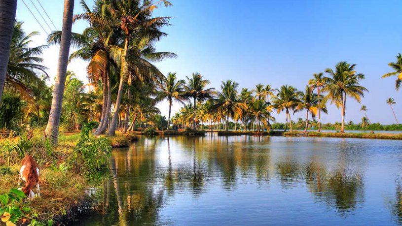 best resort in kumbalangi
