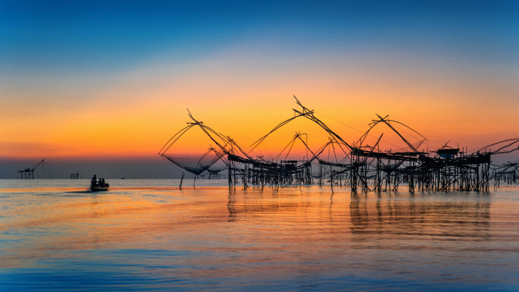best resort in kumbalangi
